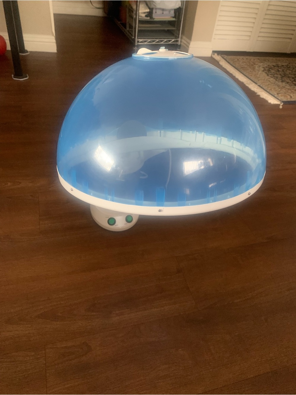 Red Pro Hair Therapy 2-in-1 Hair Steamer & Facial Steamer
